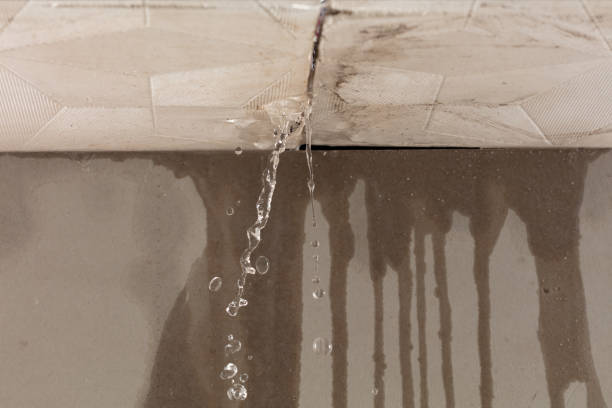 Professional Water Damage Repair technician working in La Salle, MI